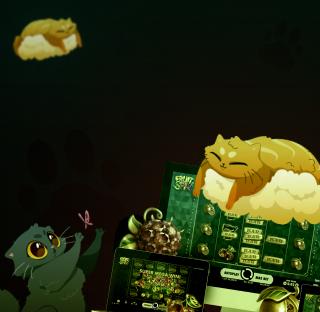 Официальный сайт Cat казино для игры бесплатно и на деньги